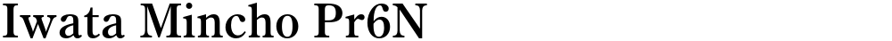 Iwata Mincho Pr6N