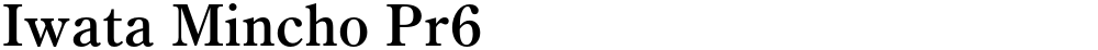 Iwata Mincho Pr6