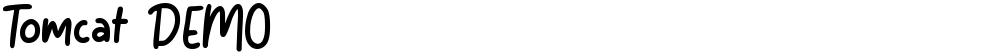 Tomcat DEMO