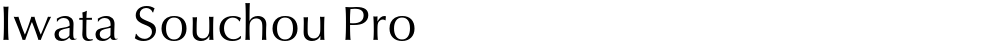 Iwata Souchou Pro