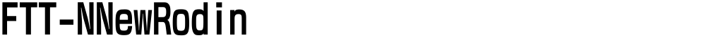 FTT-NNewRodin