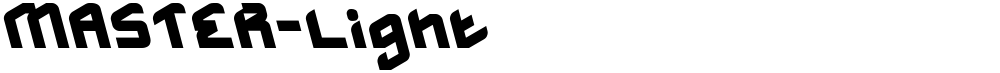 MASTER-Light