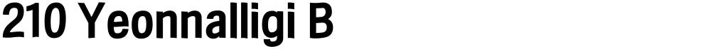 210 Yeonnalligi B