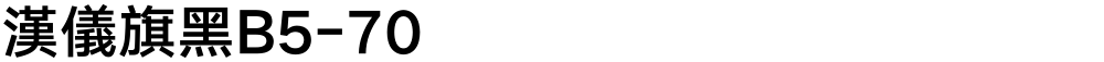 漢儀旗黑B5-70