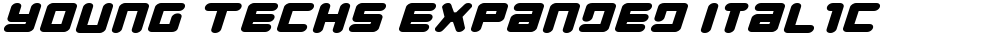Young Techs Expanded Italic