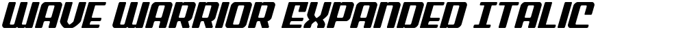 Wave Warrior Expanded Italic