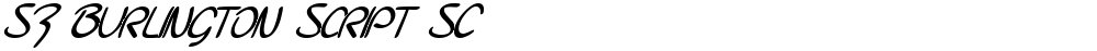 SF Burlington Script SC