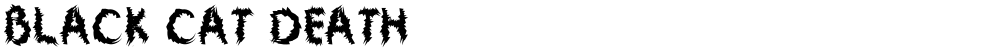 Black Cat Death