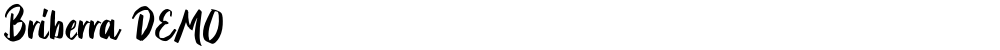 Briberra DEMO