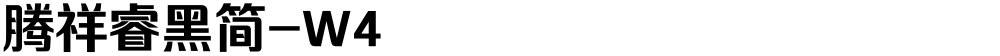 腾祥睿黑简-W4