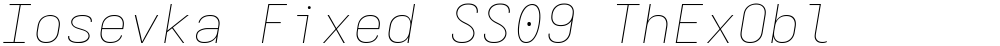 Iosevka Fixed SS09 ThExObl