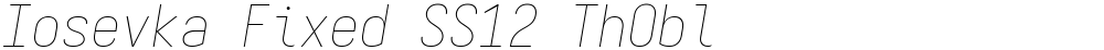 Iosevka Fixed SS12 ThObl