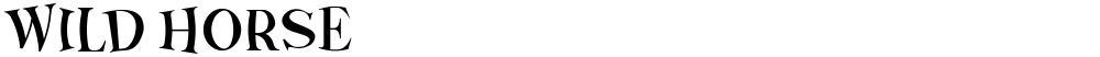 Wild Horse