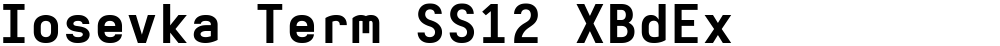 Iosevka Term SS12 XBdEx