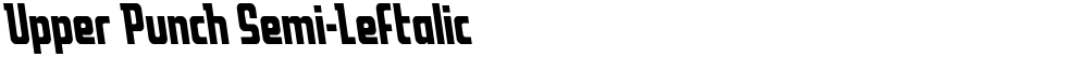 Upper Punch Semi-Leftalic
