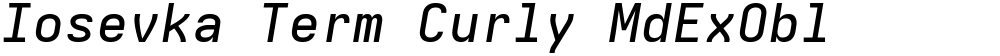 Iosevka Term Curly MdExObl