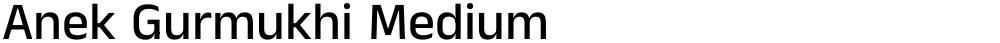 Anek Gurmukhi Medium