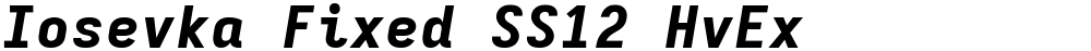 Iosevka Fixed SS12 HvEx