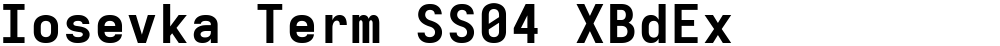 Iosevka Term SS04 XBdEx
