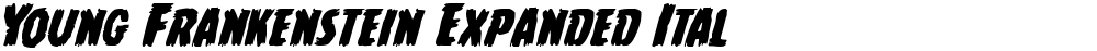 Young Frankenstein Expanded Italic