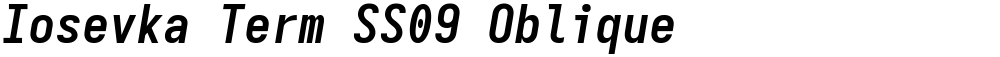 Iosevka Term SS09 Oblique