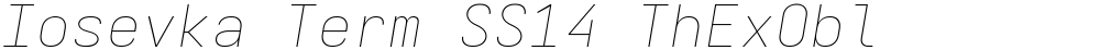 Iosevka Term SS14 ThExObl