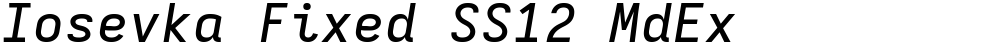 Iosevka Fixed SS12 MdEx