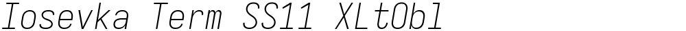 Iosevka Term SS11 XLtObl