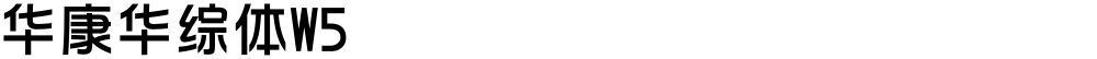 华康华综体W5