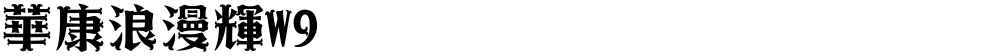 華康浪漫輝W9