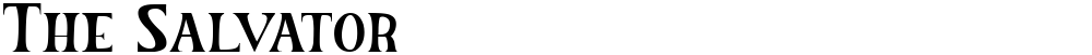 The Salvator