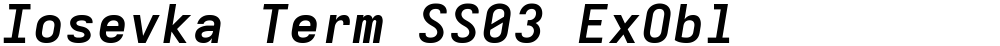 Iosevka Term SS03 ExObl