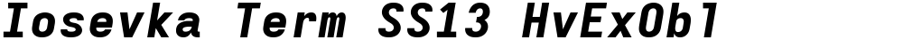 Iosevka Term SS13 HvExObl