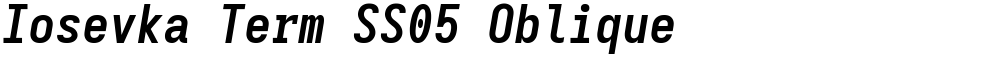 Iosevka Term SS05 Oblique