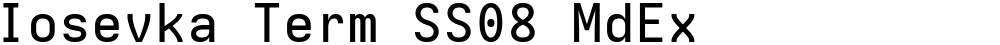 Iosevka Term SS08 MdEx