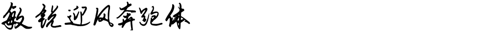 敏锐迎风奔跑体