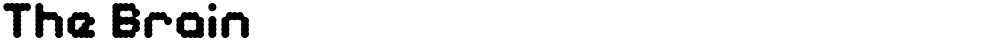 The Brain