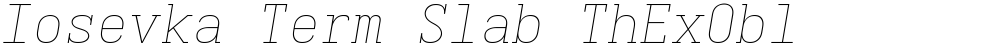 Iosevka Term Slab ThExObl