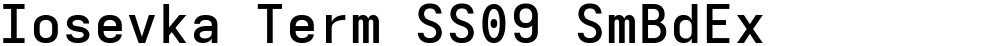 Iosevka Term SS09 SmBdEx