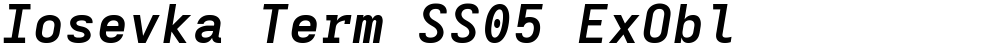 Iosevka Term SS05 ExObl