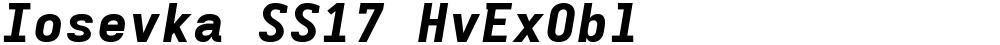 Iosevka SS17 HvExObl