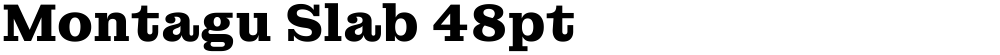 Montagu Slab 48pt