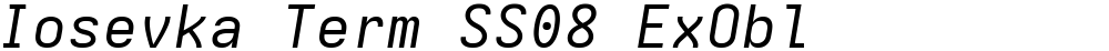 Iosevka Term SS08 ExObl