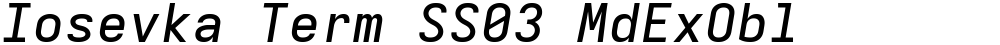 Iosevka Term SS03 MdExObl