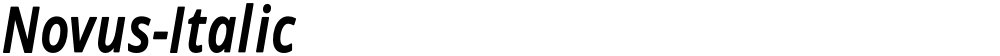 Novus-Italic