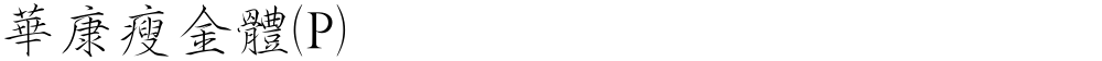 華康瘦金體(P)