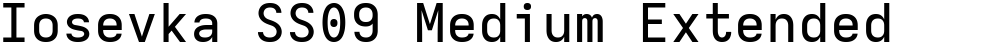Iosevka SS09 Medium Extended