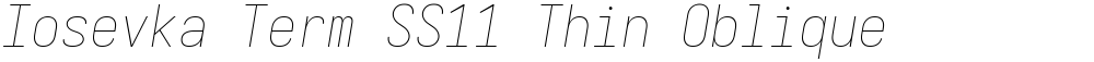 Iosevka Term SS11 Thin Oblique