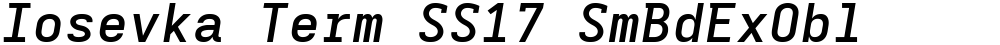 Iosevka Term SS17 SmBdExObl