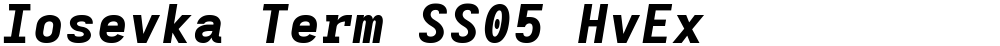 Iosevka Term SS05 HvEx